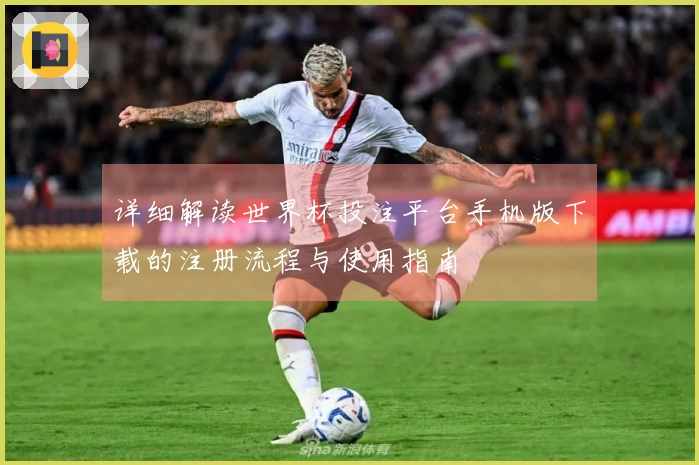 详细解读世界杯投注平台手机版下载的注册流程与使用指南