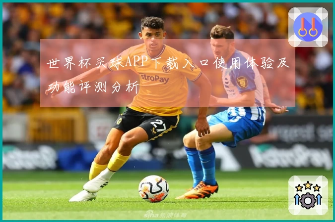 世界杯买球APP下载入口使用体验及功能评测分析