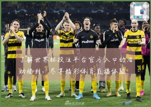 了解世界杯投注平台官方入口的活动福利,尽享精彩体育直播体验