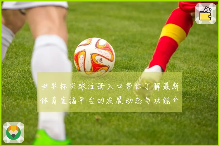世界杯买球注册入口带你了解最新体育直播平台的发展动态与功能介绍