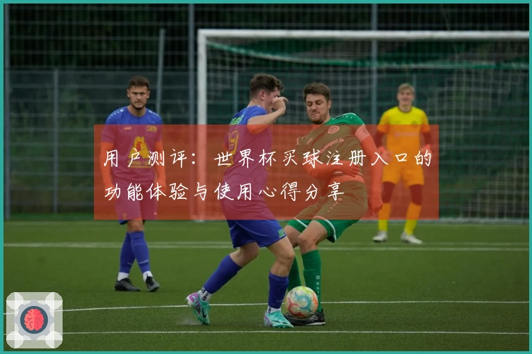 用户测评：世界杯买球注册入口的功能体验与使用心得分享