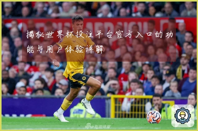 揭秘世界杯投注平台官方入口的功能与用户体验详解